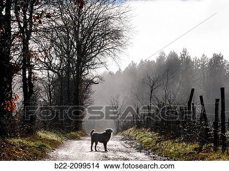 Landscape fog, La Bessi? re, Campuac, North Aveyron, Midi-Pyr? n? es, France. View Large Photo Image Picture - Landscape fog, La Bessi? re, Campuac, North Aveyron, Midi-Pyr? n? es, France.. Fotosearch