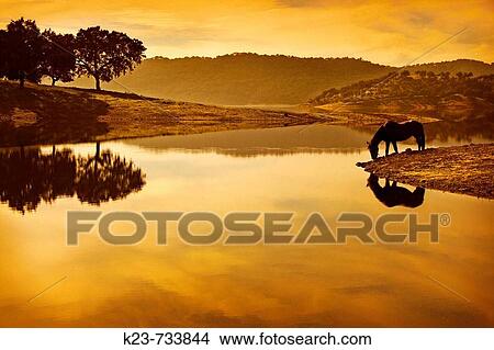 Landscape, Hu? znar reservoir, Seville province, Andalusia, Spain View Large Photo Image Picture - Landscape, Hu? znar reservoir, Seville province, Andalusia, Spain. Fotosearch
