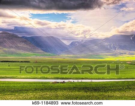 Stock Image - Landscape, Iceland. Fotosearch