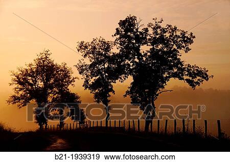 Stock Photo - Landscape in autumn, near Chavagnac, Dordogne, Aquitaine, France. Fotosearch
