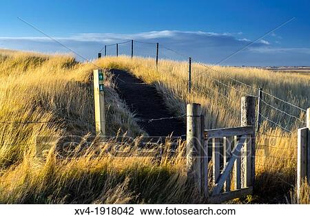 Landscape in autumn of east of Iceland View Large Photo Image Stock Image - Landscape in autumn of east of Iceland. Fotosearch