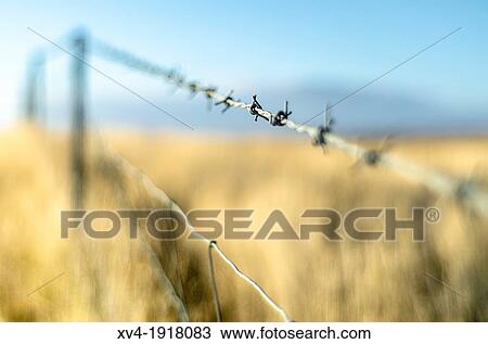 Stock Image - Landscape in autumn of east of Iceland. Fotosearch