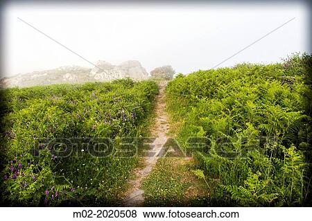 Stock Photo - Landscape in Corsica, France. Fotosearch