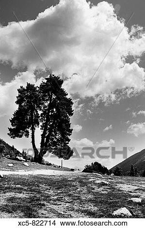 Landscape in Lake Sant Maurici Lleida Catalonia Spain View Large Photo Image Picture - Landscape in Lake Sant Maurici Lleida Catalonia Spain. Fotosearch