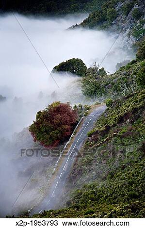 Landscape in Muratto, Corsica. View Large Photo Image Stock Image - Landscape in Muratto, Corsica.. Fotosearch
