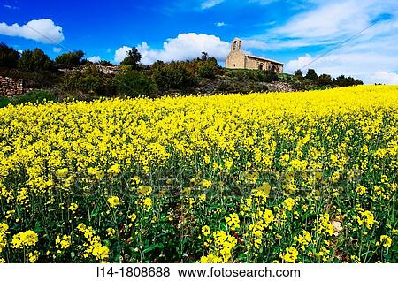 Stock Photo - Landscape, Navarre, Spain. Fotosearch