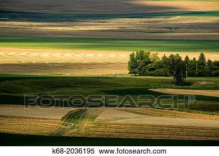 landscape near Pincher Creek, Alberta, Canada. View Large Photo Image Stock Photography - landscape near Pincher Creek, Alberta, Canada.. Fotosearch