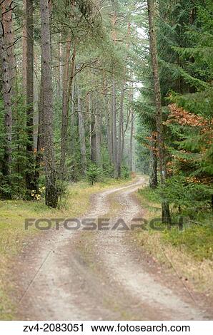 Landscape of a little trail going through the forest in autumn, Upper Palatinate, Bavaria, Germany View Large Photo Image Stock Image - Landscape of a little trail going through the forest in autumn, Upper Palatinate, Bavaria, Germany. Fotosearch