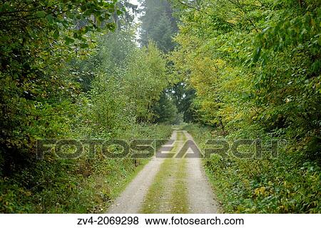 Landscape of a little trail going through the forest. View Large Photo Image Stock Photo - Landscape of a little trail going through the forest.. Fotosearch