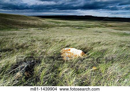Landscape of Frenchman River valley in Grasslands National Park Saskatchewan, Canada. View Large Photo Image Picture - Landscape of Frenchman River valley in Grasslands National Park Saskatchewan, Canada.. Fotosearch
