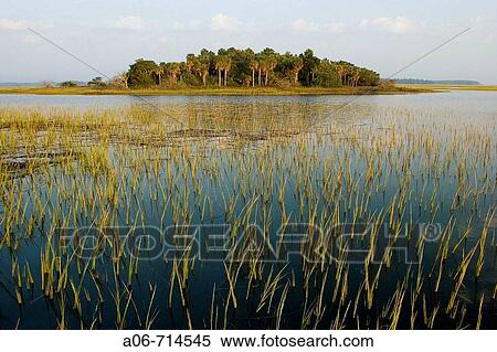 Stock Photography - landscape of marsh Island in the broad river. Fotosearch