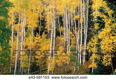 Landscape View Large Photo Image Stock Image - Landscape. Fotosearch
