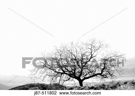 Landscape View Large Photo Image Stock Image - Landscape. Fotosearch