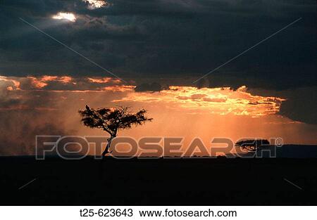Landscape View Large Photo Image Stock Image - Landscape. Fotosearch