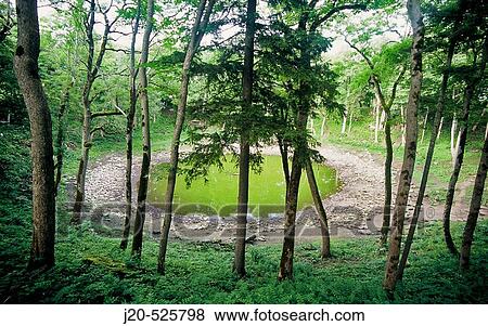 Landscape View Large Photo Image Stock Photo - Landscape. Fotosearch
