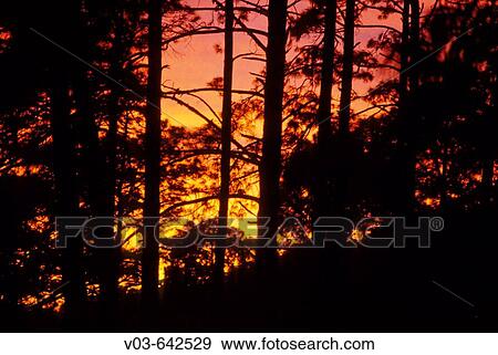 Landscape View Large Photo Image Stock Photo - Landscape. Fotosearch