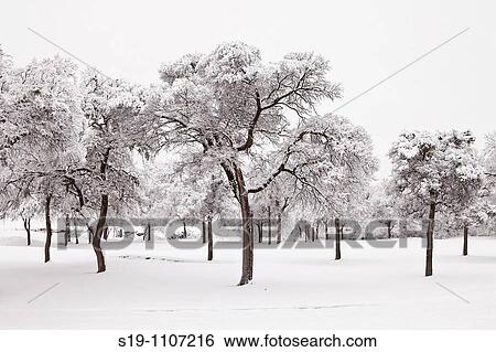Landscape View Large Photo Image Stock Photograph - Landscape. Fotosearch