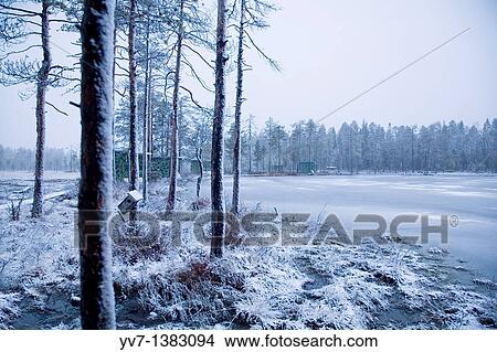 Picture - Landscape with hides for watching brown bears around a frozen lake in the Finnish Taiga. Fotosearch
