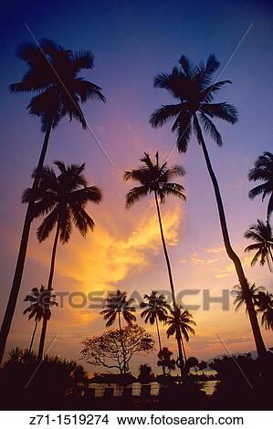 Langkawi Island at sunset, Malaysia View Large Photo Image Picture - Langkawi Island at sunset, Malaysia. Fotosearch