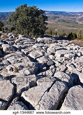 Lapiaz y encina en la cumbre de la Sierra Esparraguera - Culla - Al Maestrat - Castell? n - Comunidad Valenciana - Espaa View Large Photo Image Stock Photo - Lapiaz y encina en la cumbre de la Sierra Esparraguera - Culla - Al Maestrat - Castell? n - Comunidad Valenciana - Espaa. Fotosearch