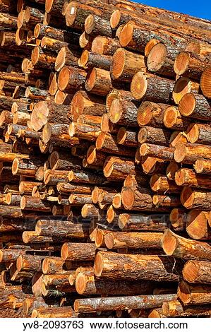 Stock Image - Large log pile in Oregon.. Fotosearch