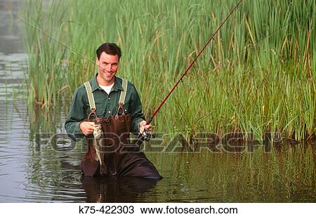 Largemouth Bass View Large Photo Image Stock Image - Largemouth Bass. Fotosearch