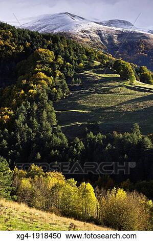 Larrau mountain pass in autumn - Salazar Valley - Pyrenees - Navarra - Spain - Europe View Large Photo Image Stock Image - Larrau mountain pass in autumn - Salazar Valley - Pyrenees - Navarra - Spain - Europe. Fotosearch