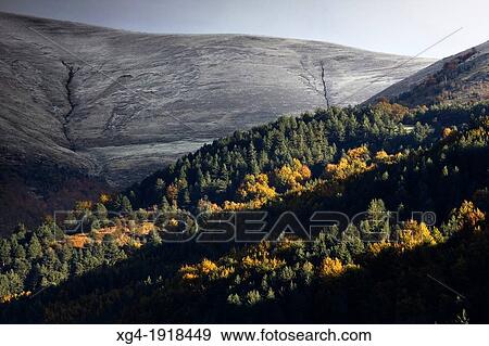 Larrau mountain pass in autumn - Salazar Valley - Pyrenees - Navarra - Spain - Europe View Large Photo Image Stock Photo - Larrau mountain pass in autumn - Salazar Valley - Pyrenees - Navarra - Spain - Europe. Fotosearch