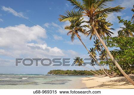 Las Galeras beach, Samana, Dominican Republic View Large Photo Image Stock Photography - Las Galeras beach, Samana, Dominican Republic. Fotosearch