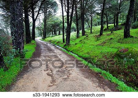 Stock Image - Las Juntas road in La Adrada. Avila. Castilla Leon. Spain.. Fotosearch