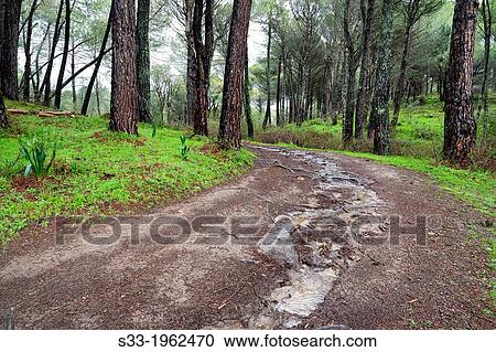 Las Juntas road in La Adrada. Avila. Castilla Leon. Spain. View Large Photo Image Stock Image - Las Juntas road in La Adrada. Avila. Castilla Leon. Spain.. Fotosearch