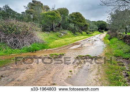 Las Juntas road in La Adrada. Avila. Castilla Leon. Spain. View Large Photo Image Stock Image - Las Juntas road in La Adrada. Avila. Castilla Leon. Spain.. Fotosearch