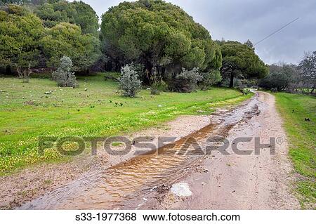 Stock Photo - Las Juntas road in La Adrada. Avila. Castilla Leon. Spain.. Fotosearch