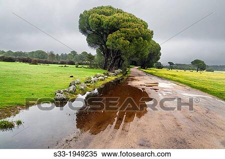 Las Juntas road in La Adrada. Avila. Castilla Leon. Spain. View Large Photo Image Stock Photography - Las Juntas road in La Adrada. Avila. Castilla Leon. Spain.. Fotosearch