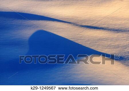 Late evening shadows on snow View Large Photo Image Stock Photo - Late evening shadows on snow. Fotosearch