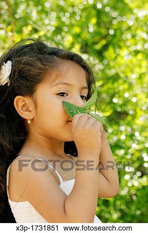 Latin little girl smelling mint View Large Photo Image Stock Image - Latin little girl smelling mint. Fotosearch