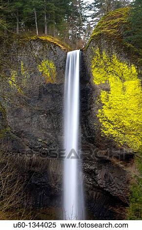 Stock Photography - Latourell Falls at the Columbia River National Recreation Area near Portland, Oregon. Fotosearch