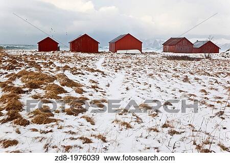 laukvik in lofoten island. View Large Photo Image Stock Photo - laukvik in lofoten island.. Fotosearch