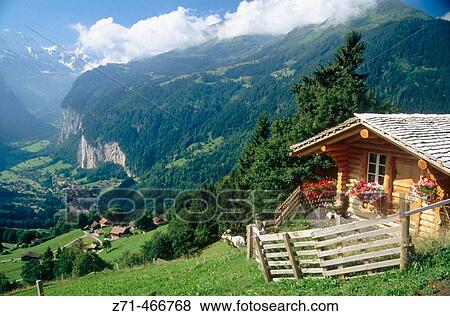 Lauterbrunnen valley seen from Wengen. Bernese Oberland. Switzerland. View Large Photo Image Stock Photo - Lauterbrunnen valley seen from Wengen. Bernese Oberland. Switzerland.. Fotosearch