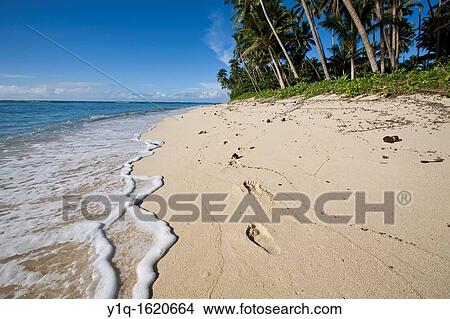 Lavena Beach, Taveuni, Fiji View Large Photo Image Picture - Lavena Beach, Taveuni, Fiji. Fotosearch