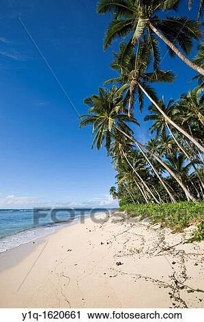 Lavena Beach, Taveuni, Fiji View Large Photo Image Stock Image - Lavena Beach, Taveuni, Fiji. Fotosearch