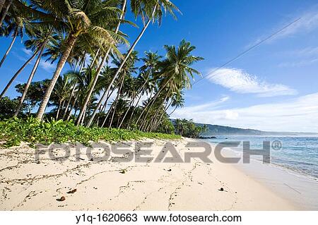 Lavena Beach, Taveuni, Fiji View Large Photo Image Stock Image - Lavena Beach, Taveuni, Fiji. Fotosearch