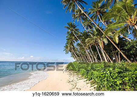 Lavena Beach, Taveuni, Fiji View Large Photo Image Stock Photo - Lavena Beach, Taveuni, Fiji. Fotosearch