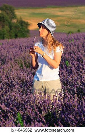 Stock Image - Lavender (Lavandula angustifolia), woman standing in filed of Lavender, enjoying scent of Lavender, Vaucluse, Provence, France. Fotosearch