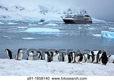 Le Bor? al cruise ship, Neko Bay, Antarctica View Large Photo Image Stock Image - Le Bor? al cruise ship, Neko Bay, Antarctica. Fotosearch