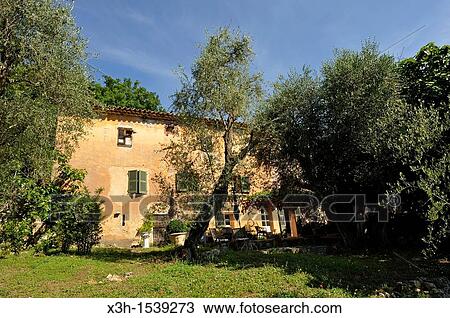 Stock Image - Le Mas de l? Olivine guesthouse in Peymeinade. Alpes-Maritimes department, Provence-Alpes-Cote d? Azur region, southeast of France, Europe.. Fotosearch