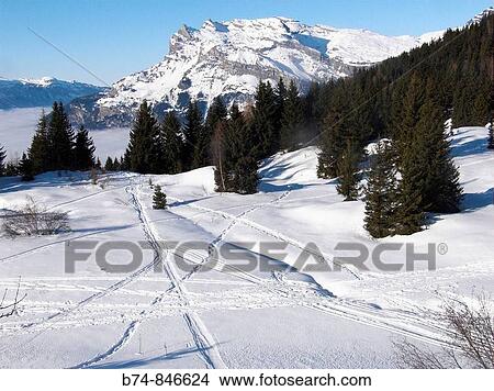 le prarion les houches haute savoie france View Large Photo Image Picture - le prarion les houches haute savoie france. Fotosearch