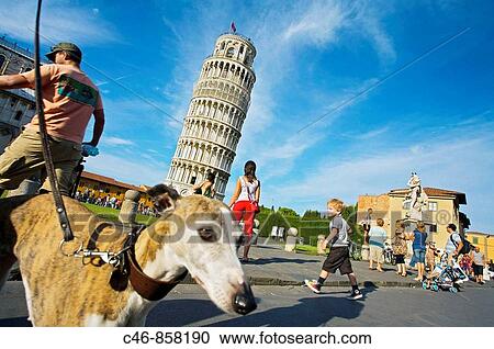 Stock Image - Leaning tower, Piazza dei Miracoli, Pisa. Tuscany, Italy. Fotosearch