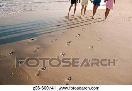 Leaving footprints on a beach View Large Photo Image Stock Image - Leaving footprints on a beach. Fotosearch