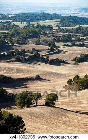 Stock Photograph - Leciena, Zaragoza Province, Los Mos, Aragon, Spain.. Fotosearch